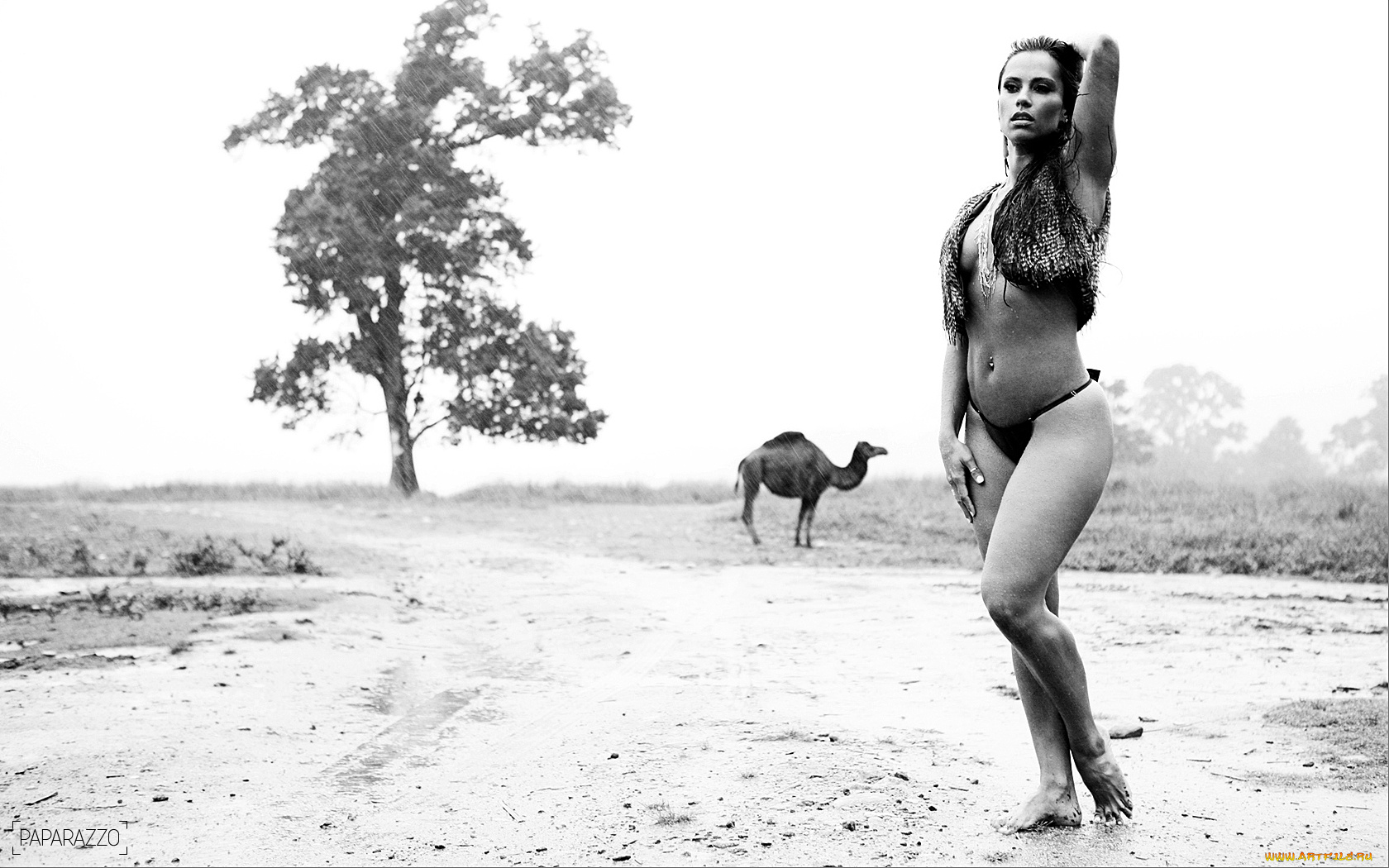 -Unsort, Брюнетки, Шатенки, kelly, девушки, unsort, брюнетки, шатенки, дорога, дерево, верблюд