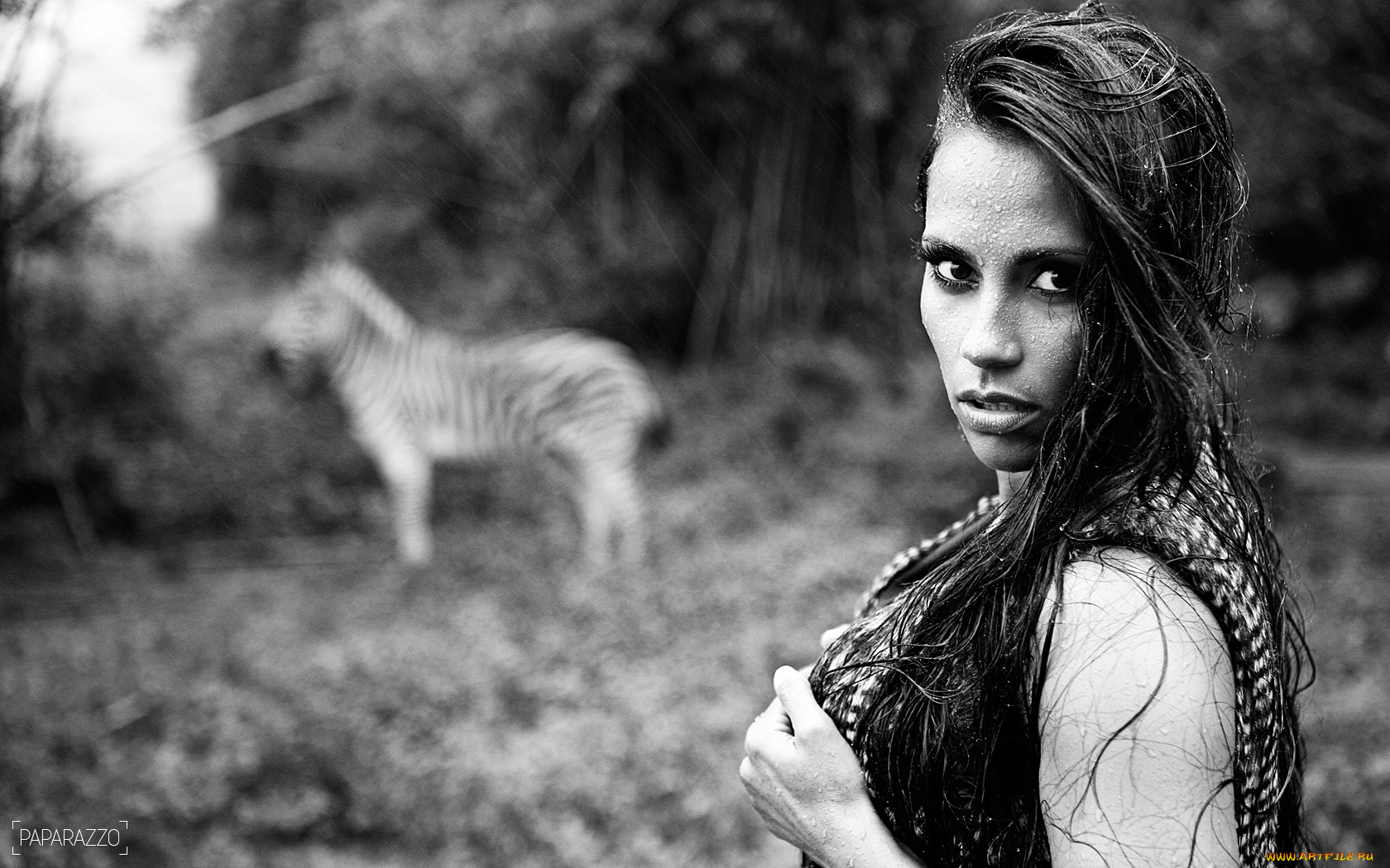 -Unsort, Брюнетки, Шатенки, kelly, девушки, unsort, брюнетки, шатенки, rongrong, wang, взгляд