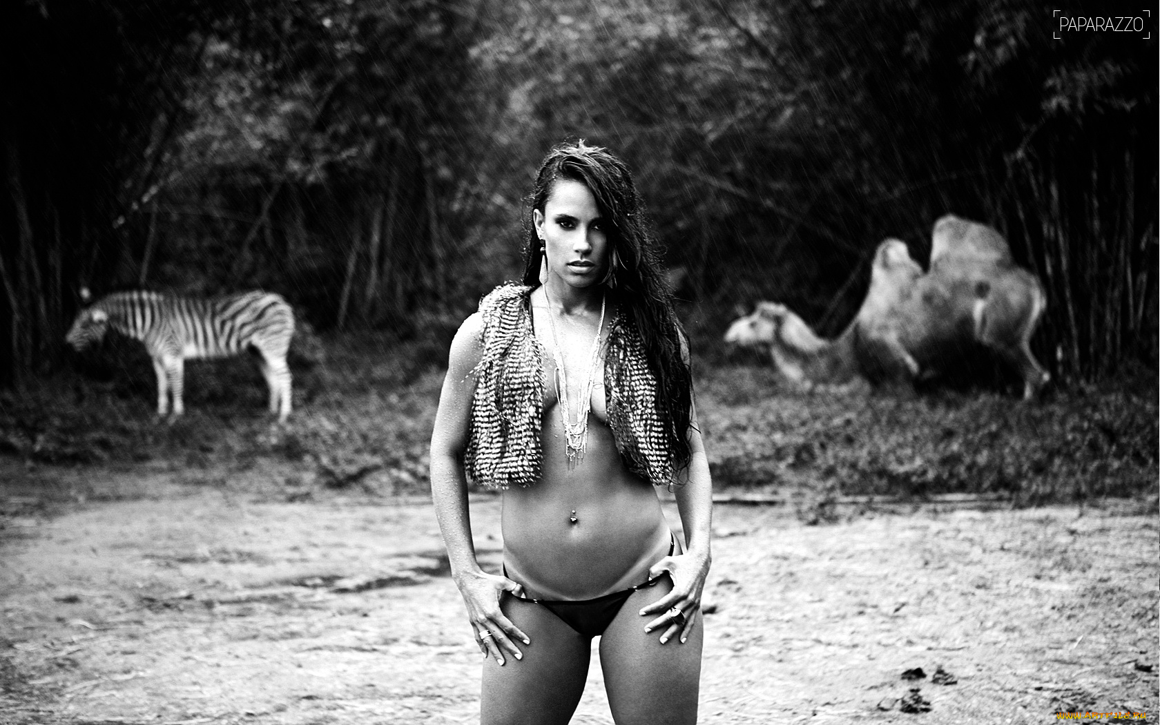 -Unsort, Брюнетки, Шатенки, kelly, девушки, unsort, брюнетки, шатенки, верблюд, зебра