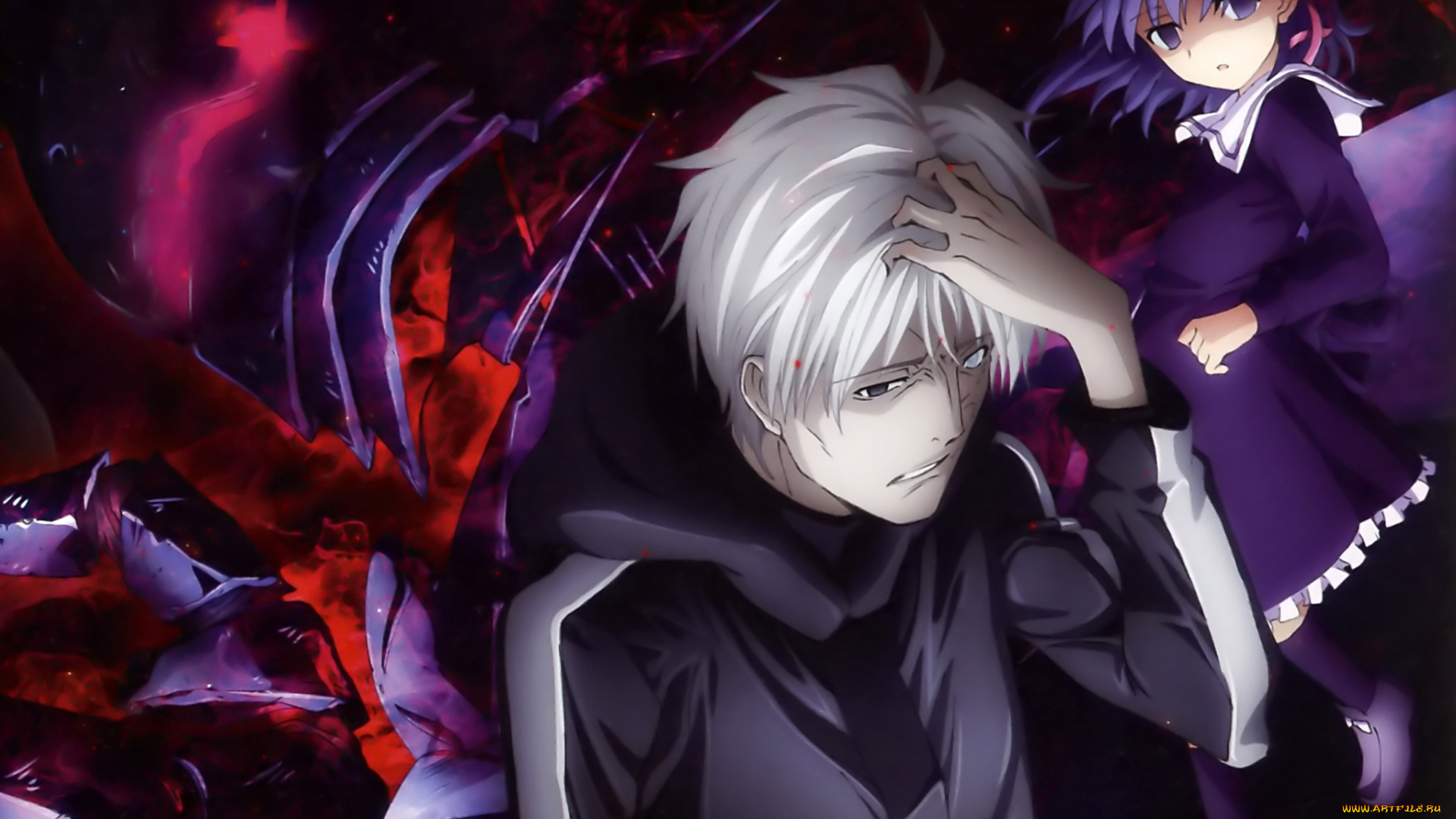 аниме, fate, zero