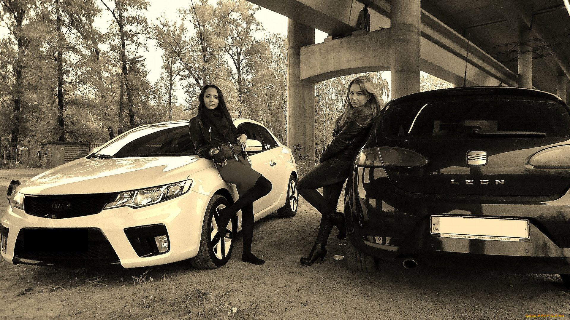 автомобили, авто, девушками