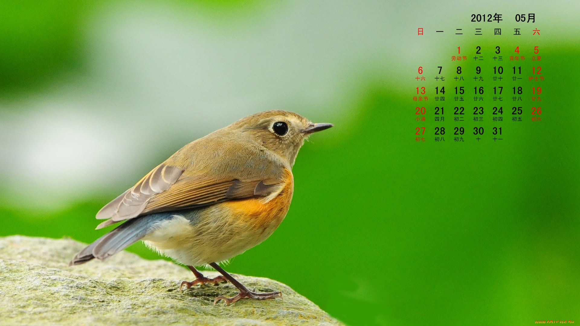 календари, животные, камень, птица