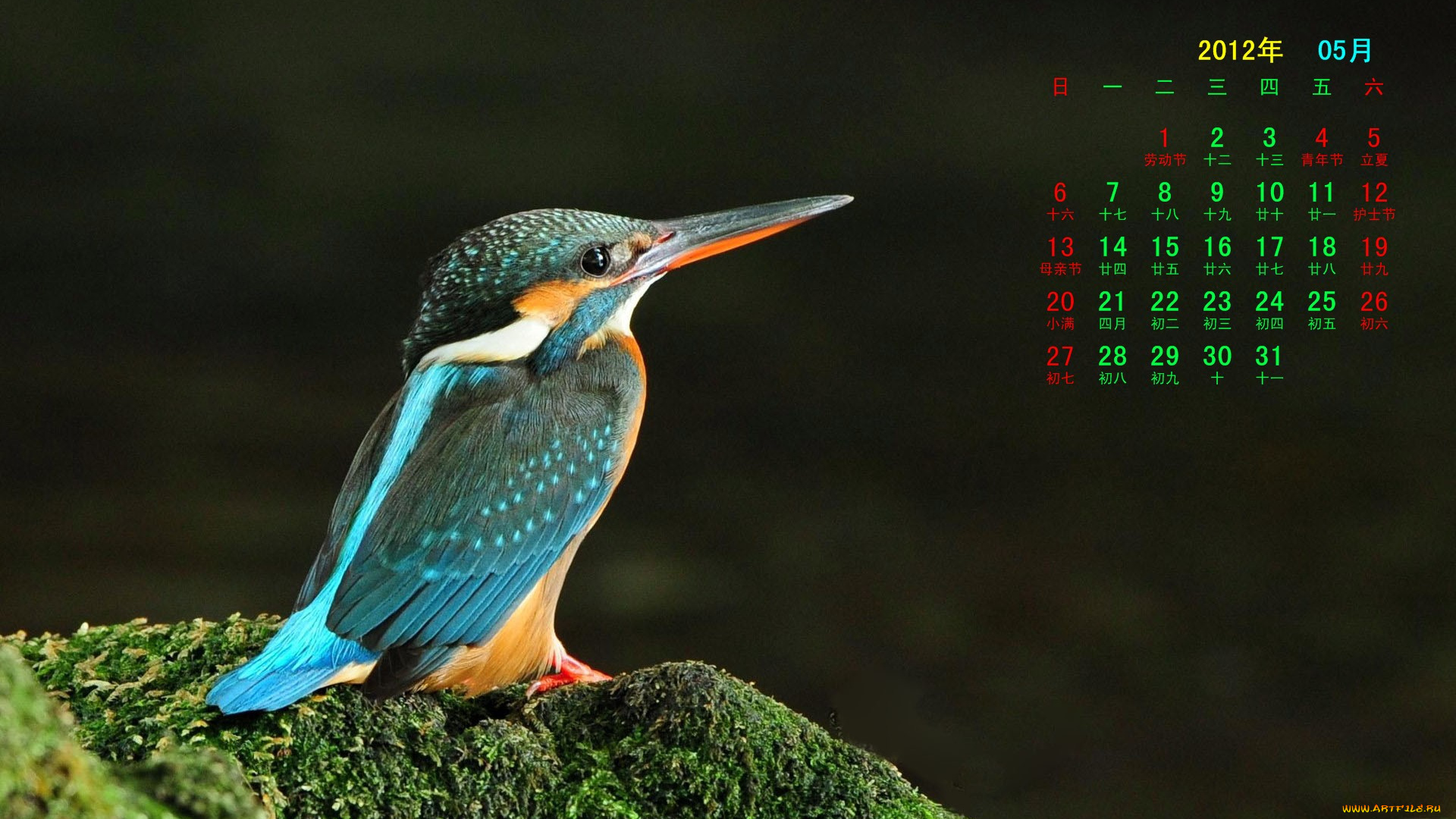 календари, животные, камень, птица