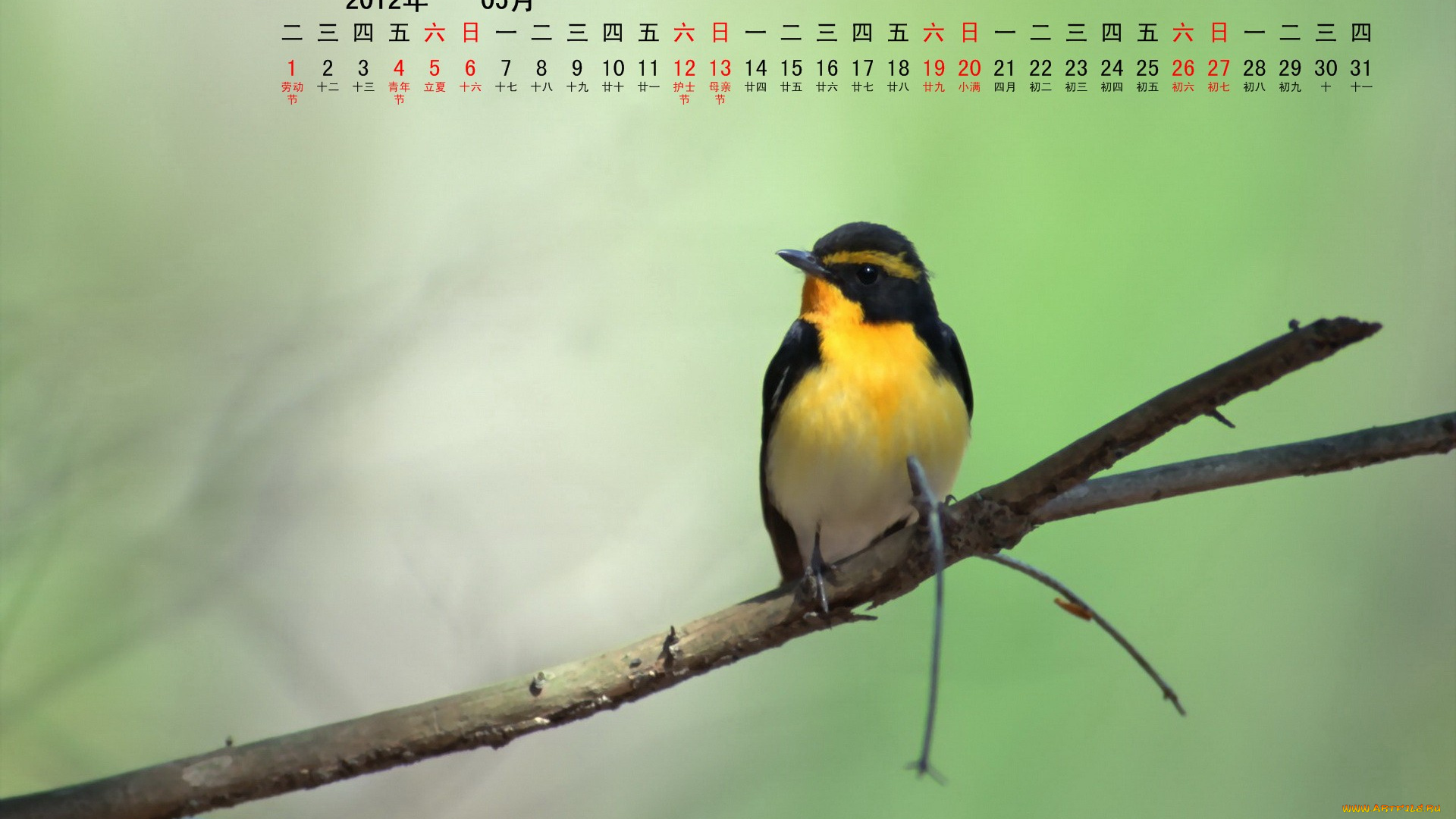 календари, животные, ветка, птица