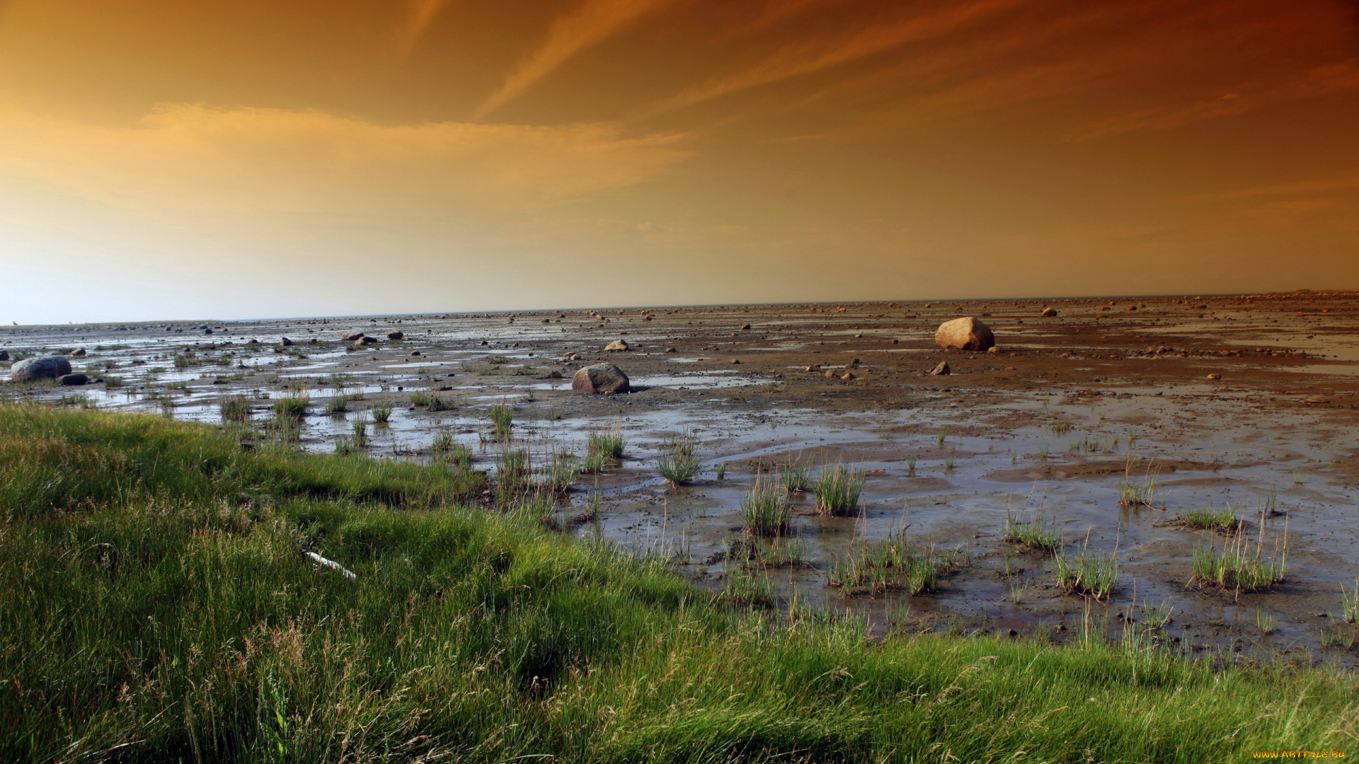 природа, другое, небо, поле, лето, пейзаж