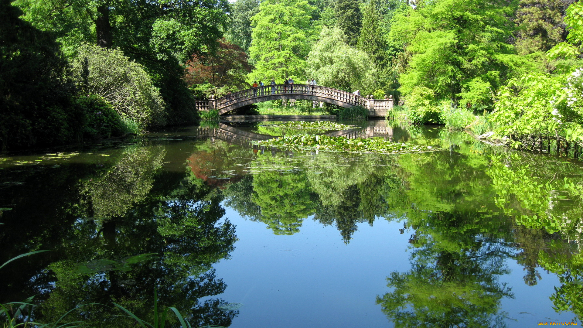 природа, парк, гессен, германия