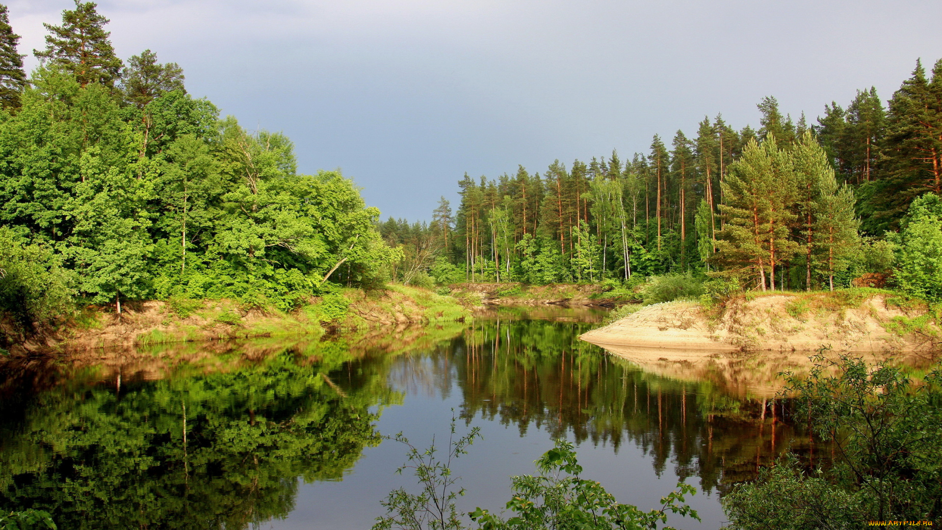 природа, реки, озера, озеро, лес