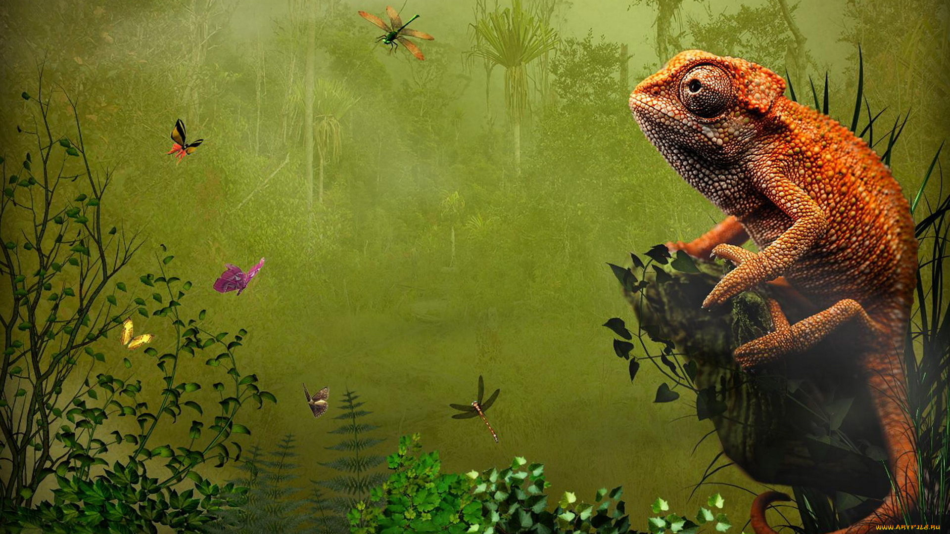 разное, компьютерный, дизайн, стрекоза, хамелеон, бабочка