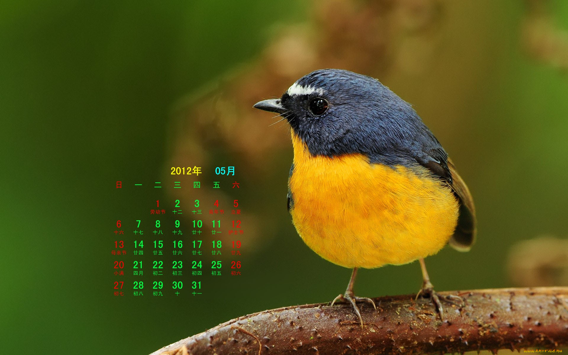 календари, животные, ветка, птица