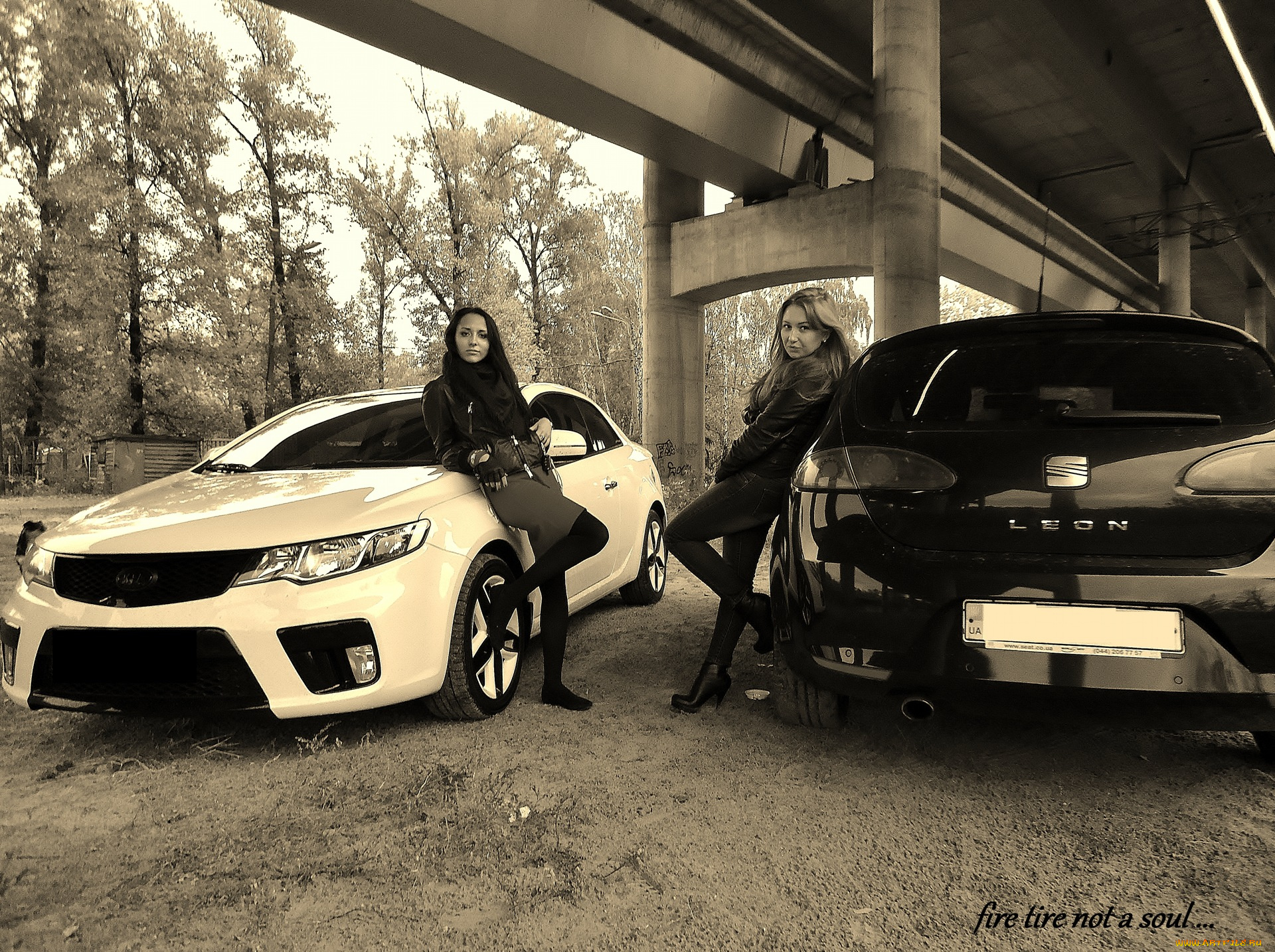 автомобили, авто, девушками