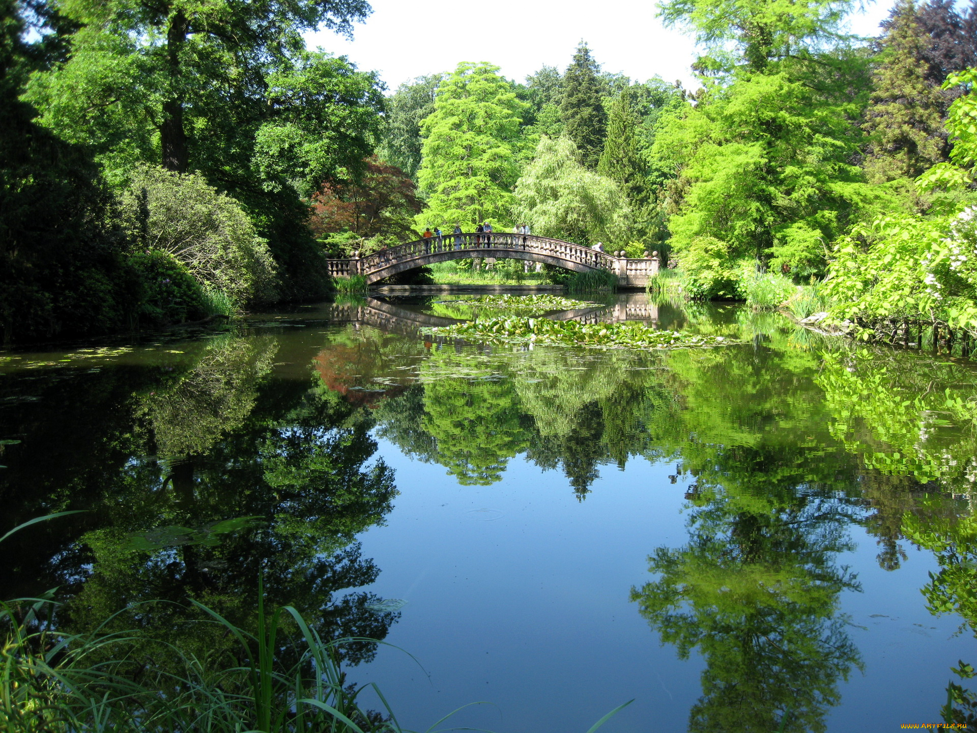 природа, парк, гессен, германия