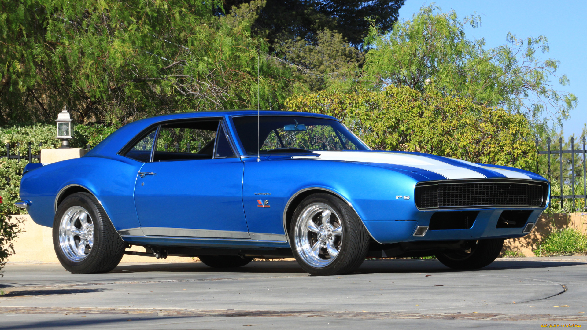 автомобили, camaro