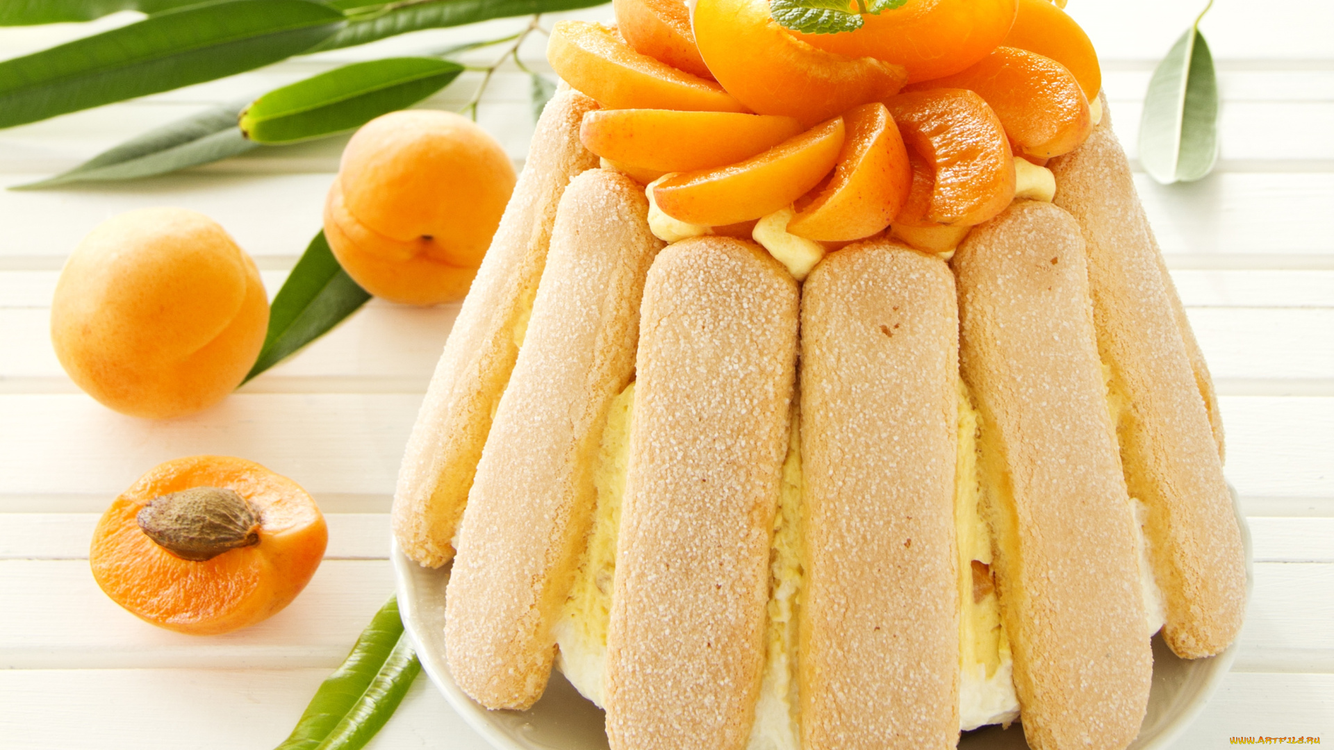 еда, торты, савоярди, абрикос