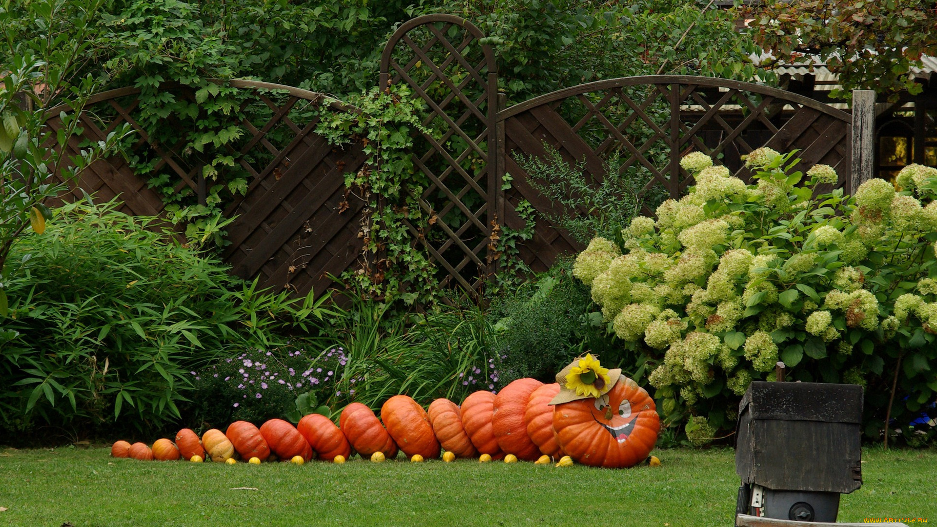 праздничные, хэллоуин, сад, забор, кусты, цветы, тыквы, урожай