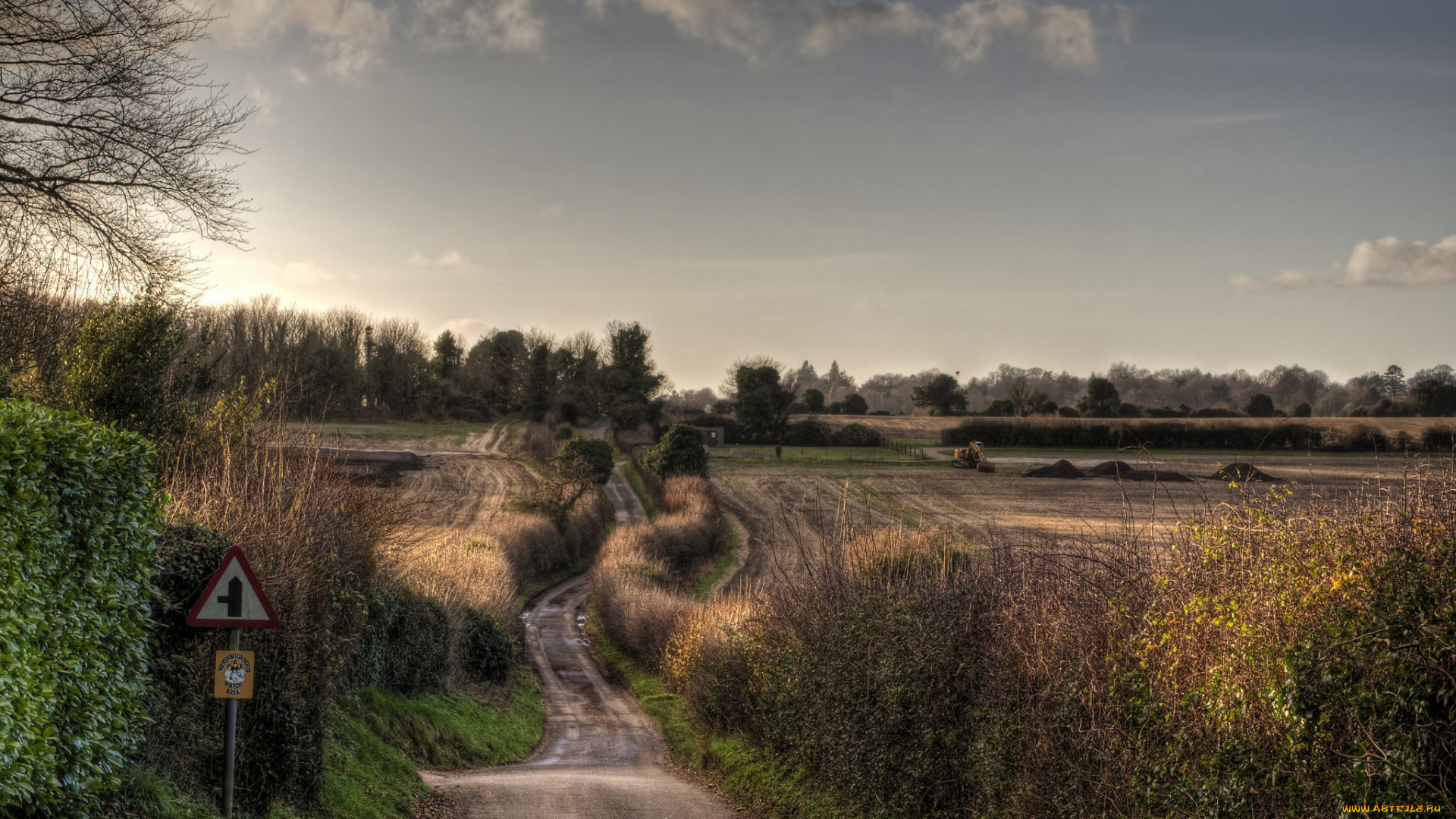 природа, дороги, кустарник, трава, тракт, лес, поле