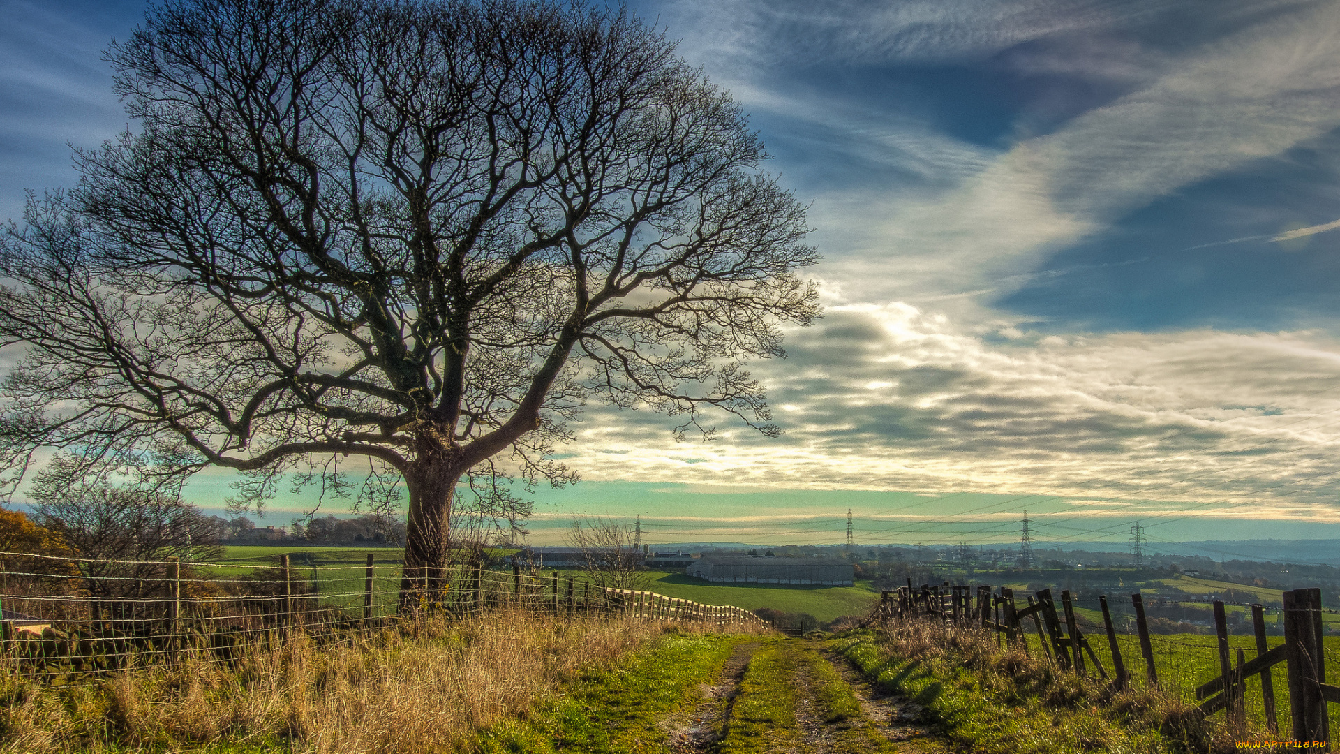 природа, дороги, облака, дорога, забор, поле, горизонт, деревья