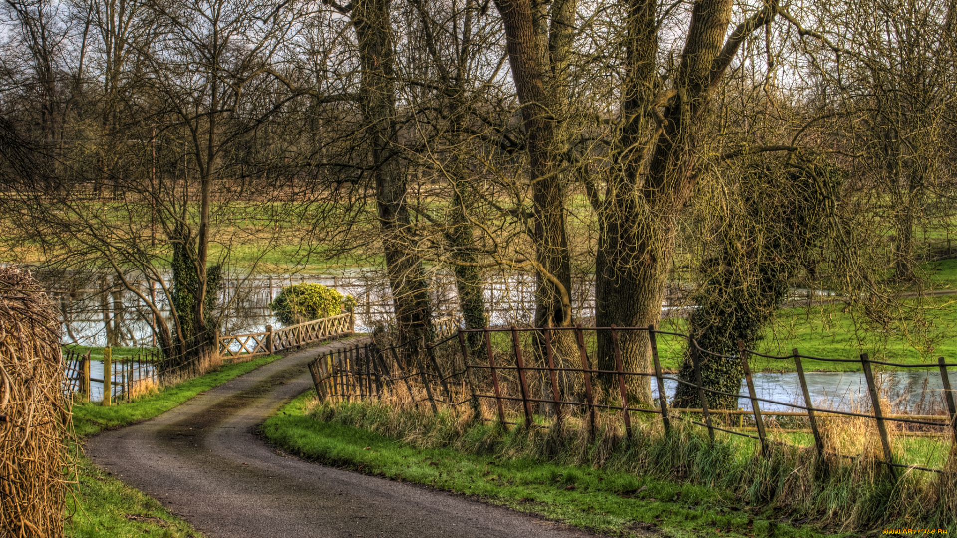 природа, дороги, осень, дорога, лес