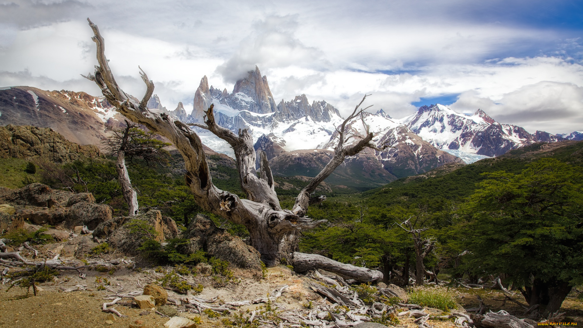 природа, горы, коряга, камни, скалы, облака