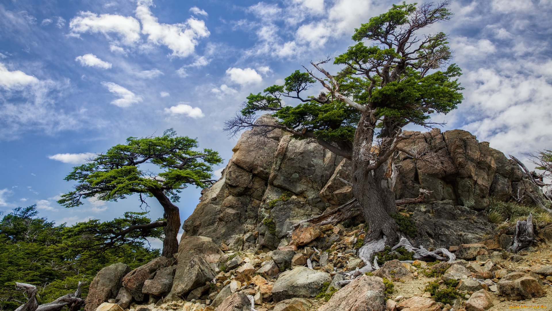 природа, горы, облака, деревья, камни