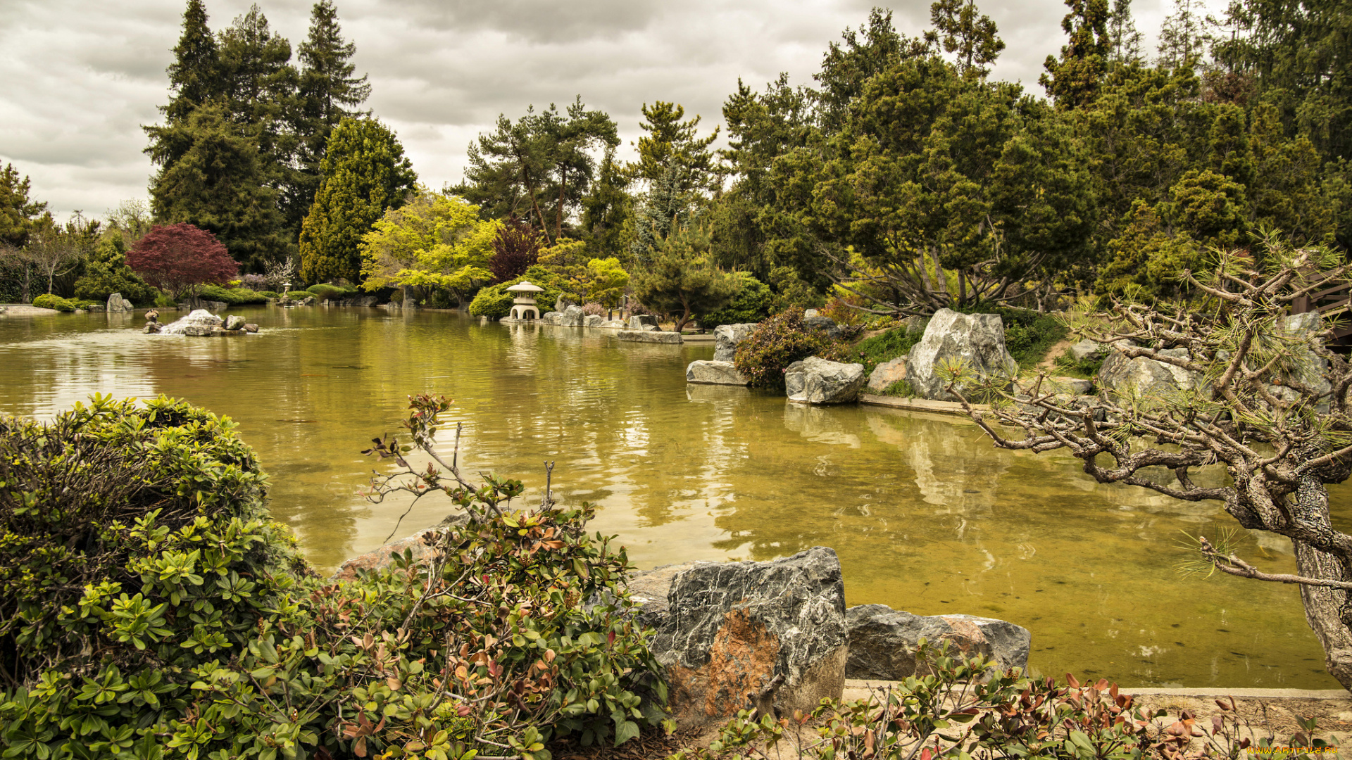 природа, парк, кусты, деревья, пруд