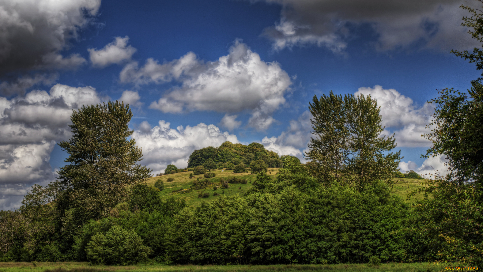 природа, пейзажи, холм, лето, растительность