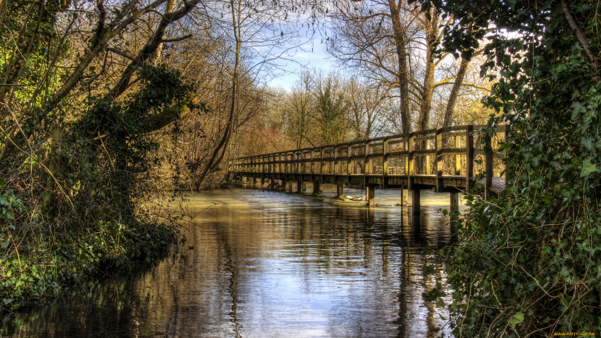 природа, реки, озера, мост, река, лес
