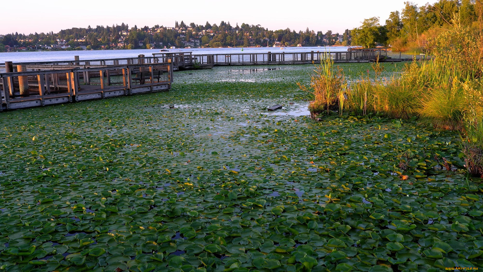 природа, реки, озера, осень, мост, река