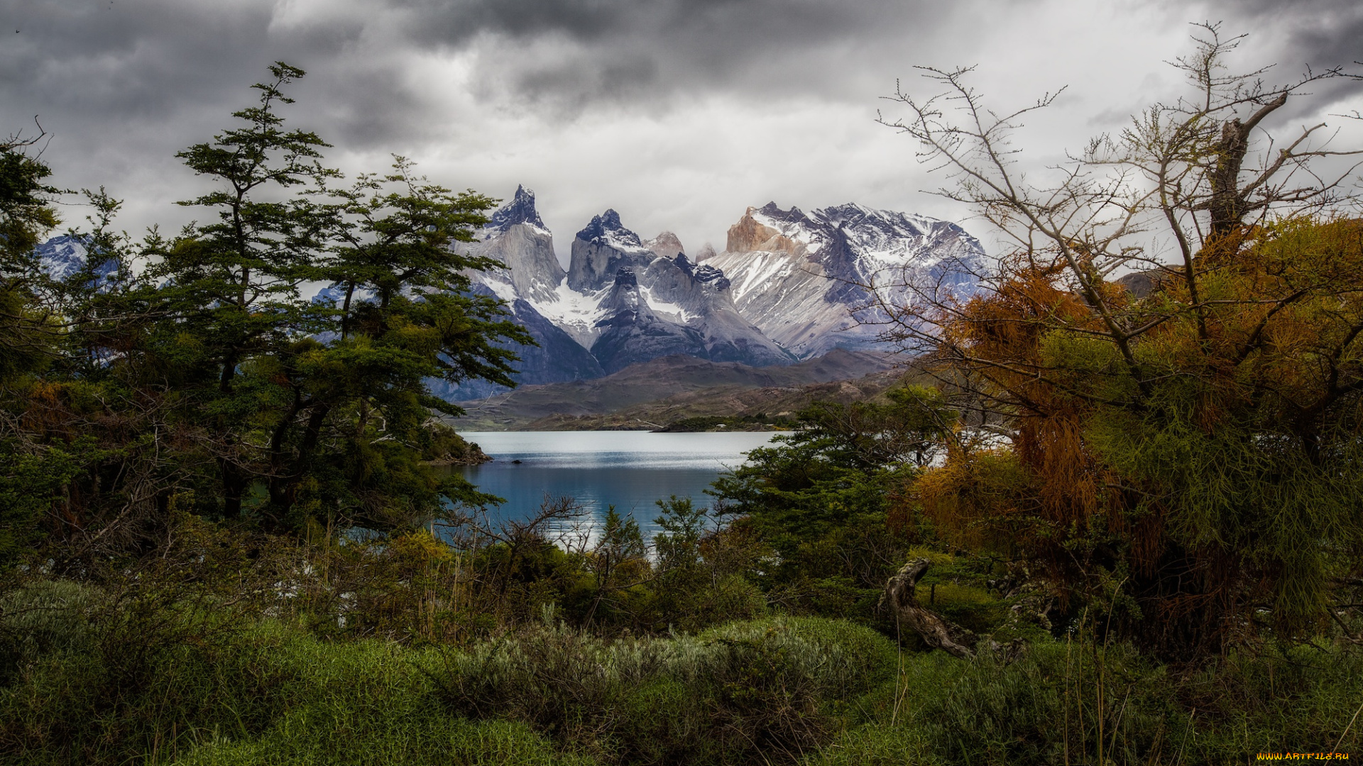 природа, реки, озера, тучи, река, сумрак, лес, горы