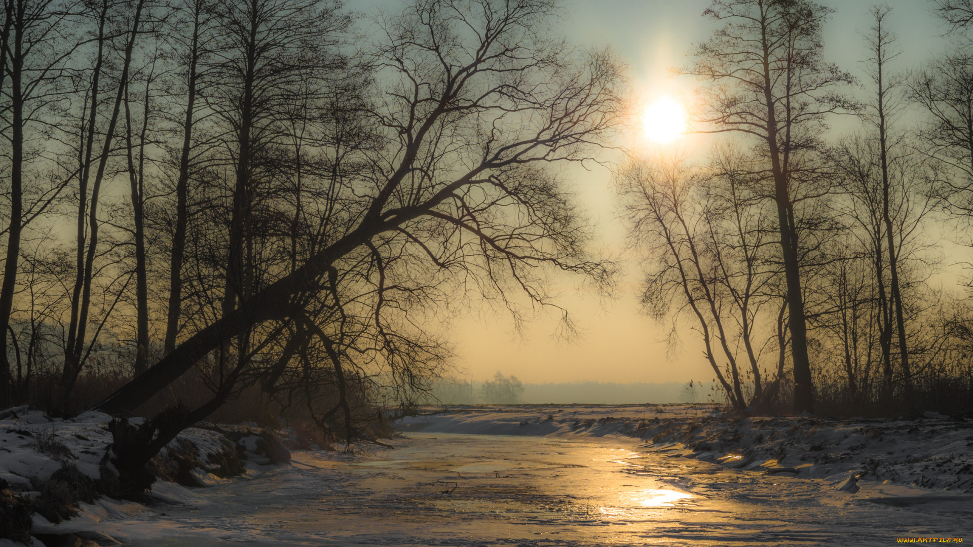 природа, зима, деревья, река, лед, снег, солнце, вечер
