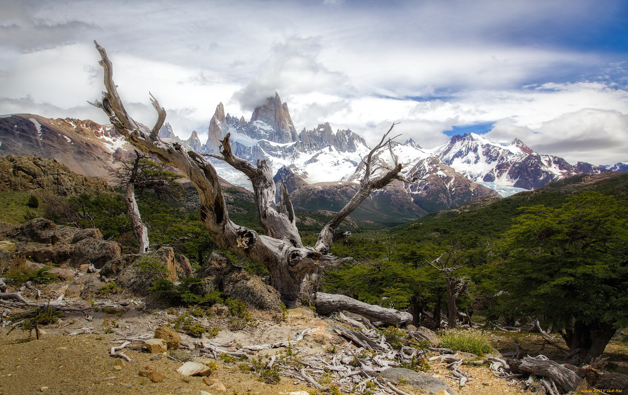 природа, горы, коряга, камни, скалы, облака