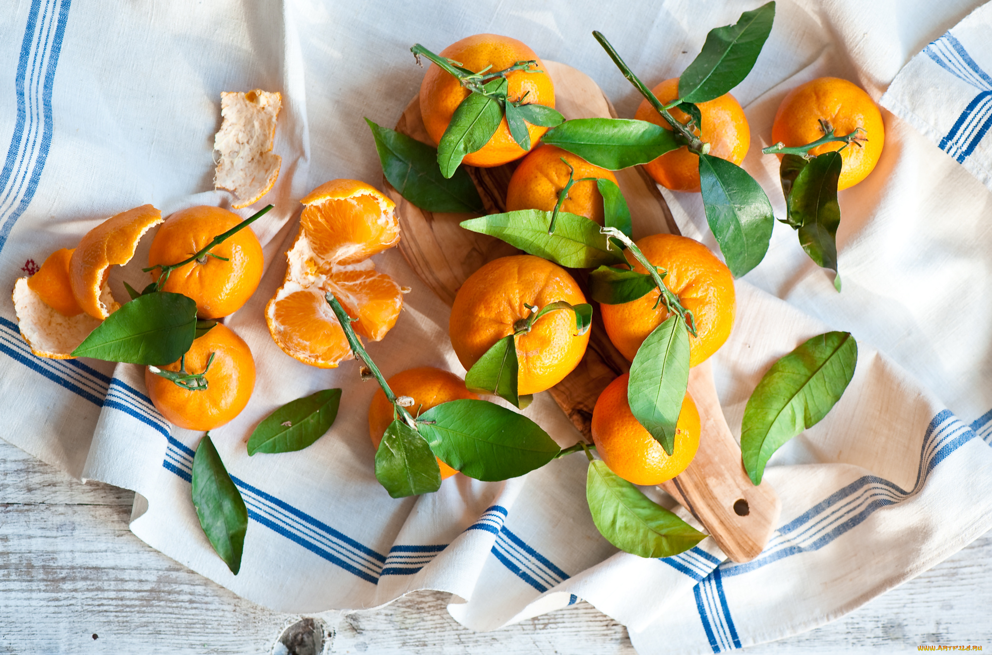 еда, цитрусы, мандарины