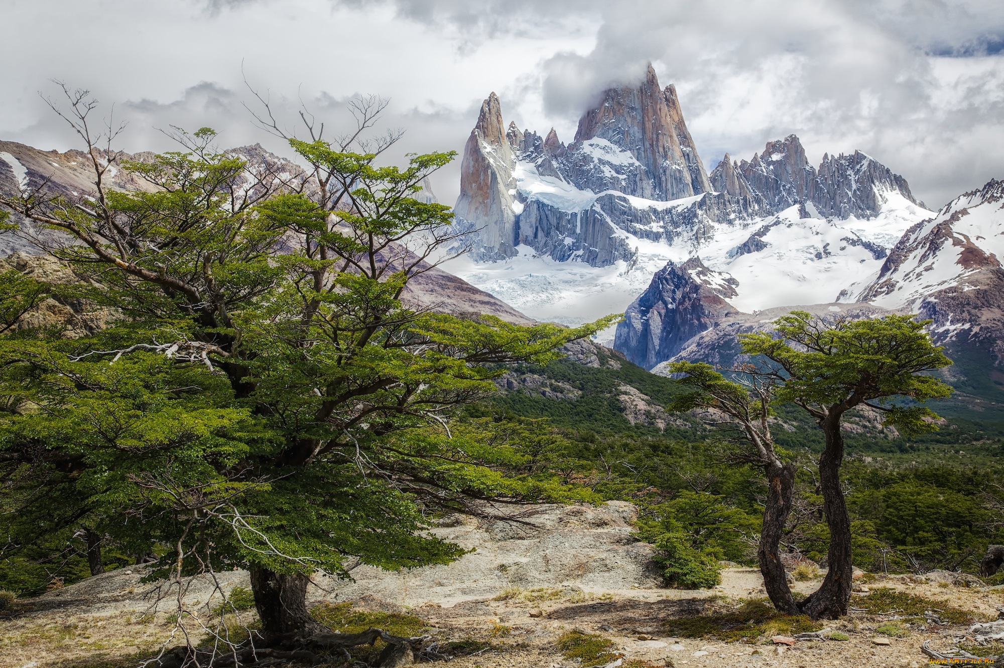 природа, горы, кустарник, деревья, скалы