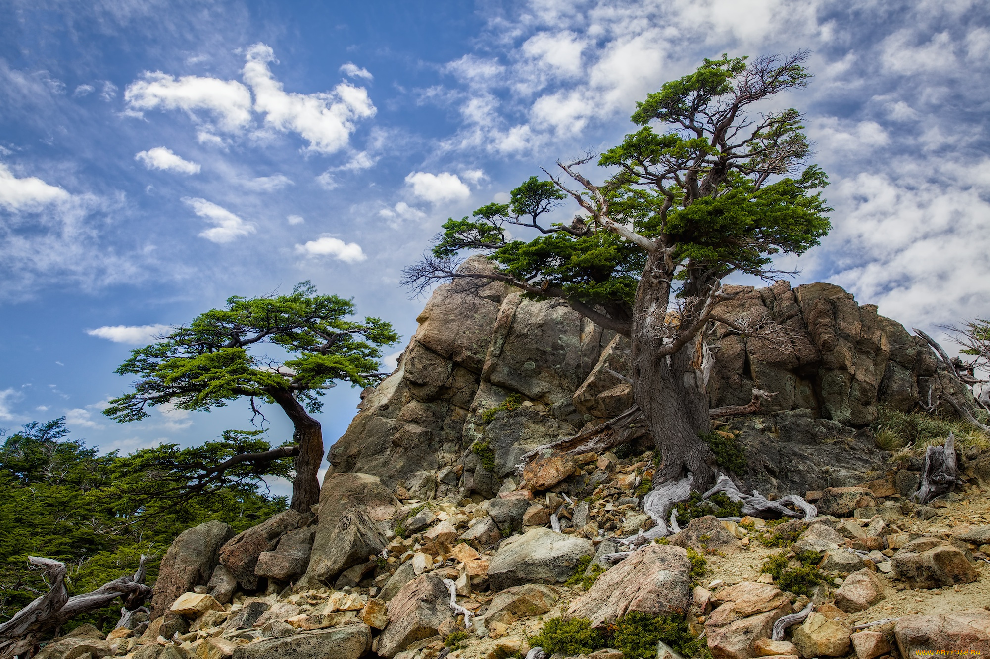 природа, горы, облака, деревья, камни