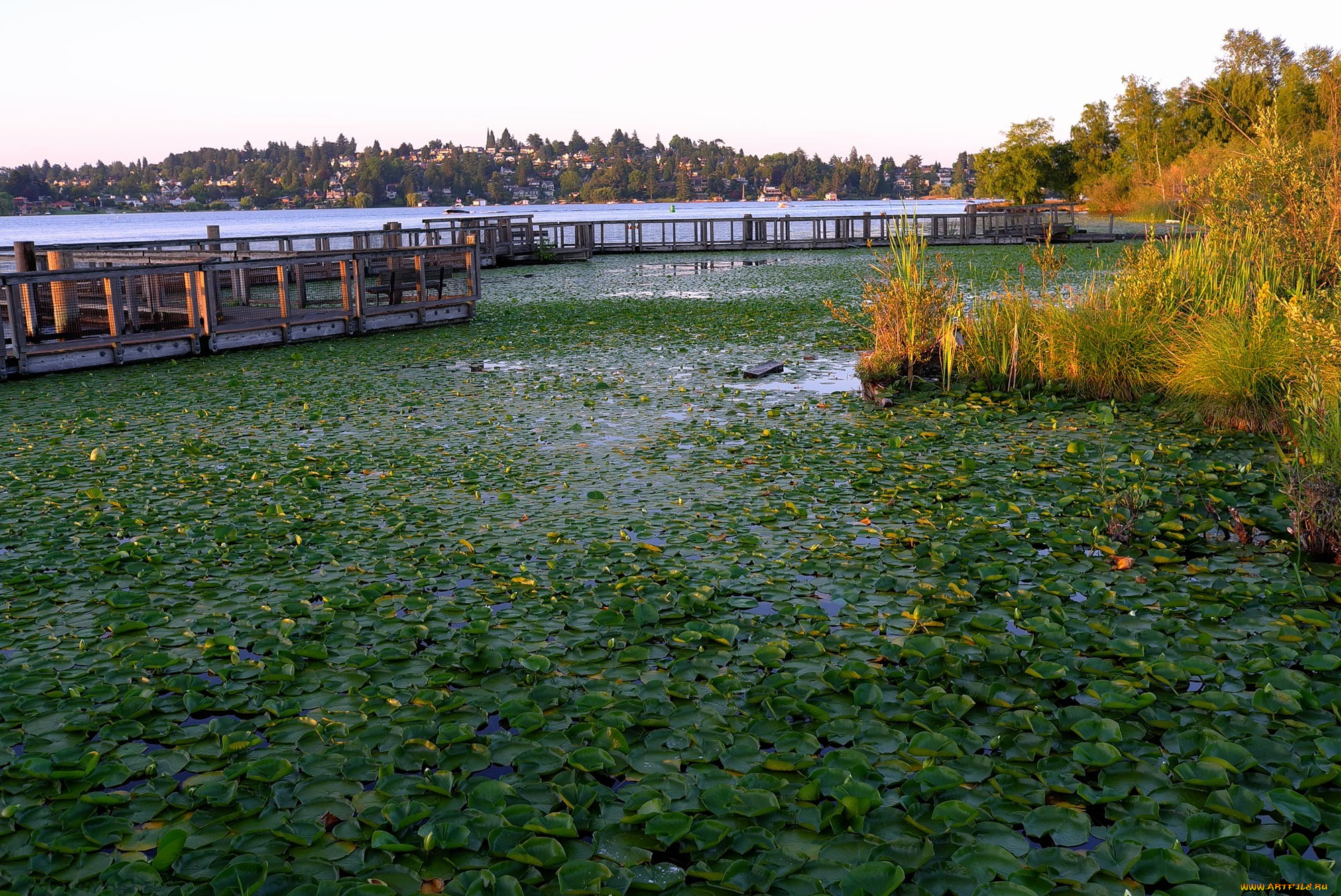 природа, реки, озера, осень, мост, река