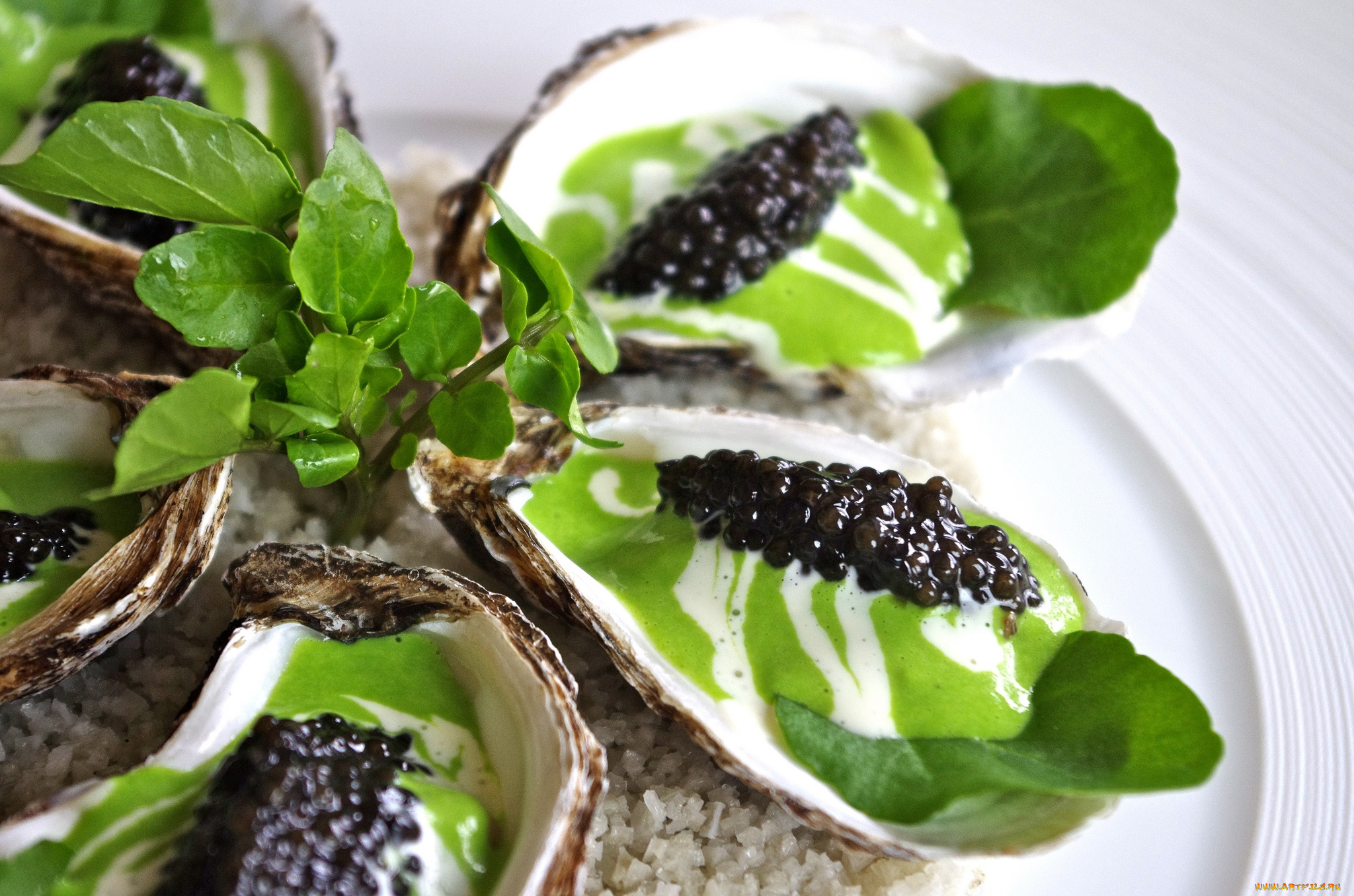 еда, рыба, , морепродукты, , суши, , роллы, устрицы, икра