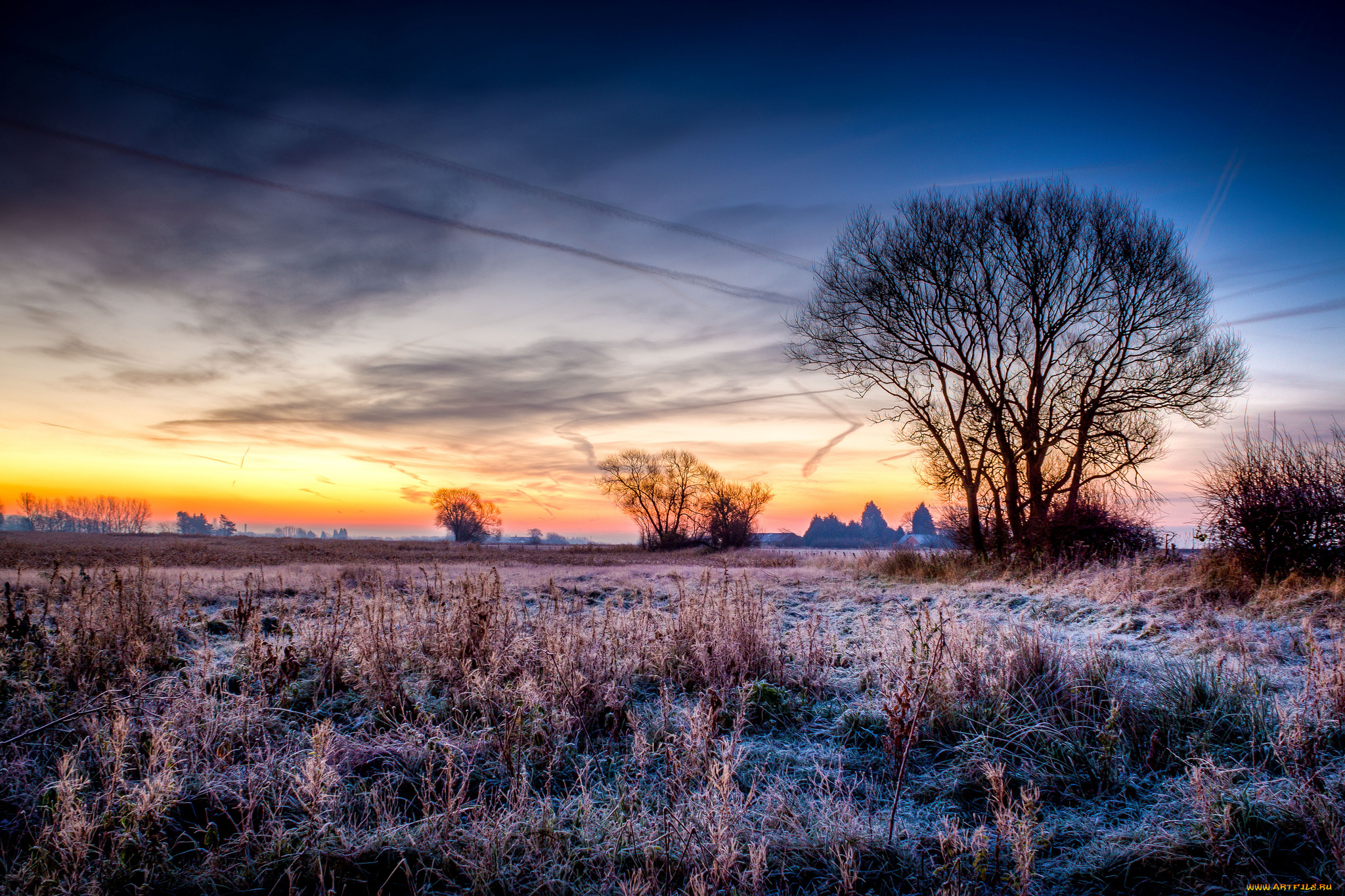 природа, поля, утро, заря, иней, горизонт, трава, поле