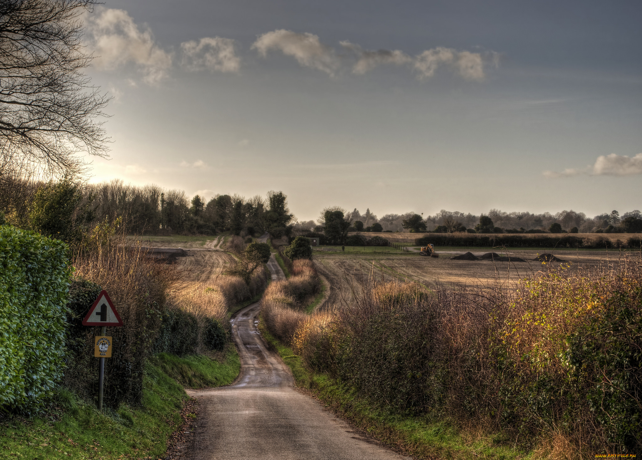 природа, дороги, кустарник, трава, тракт, лес, поле