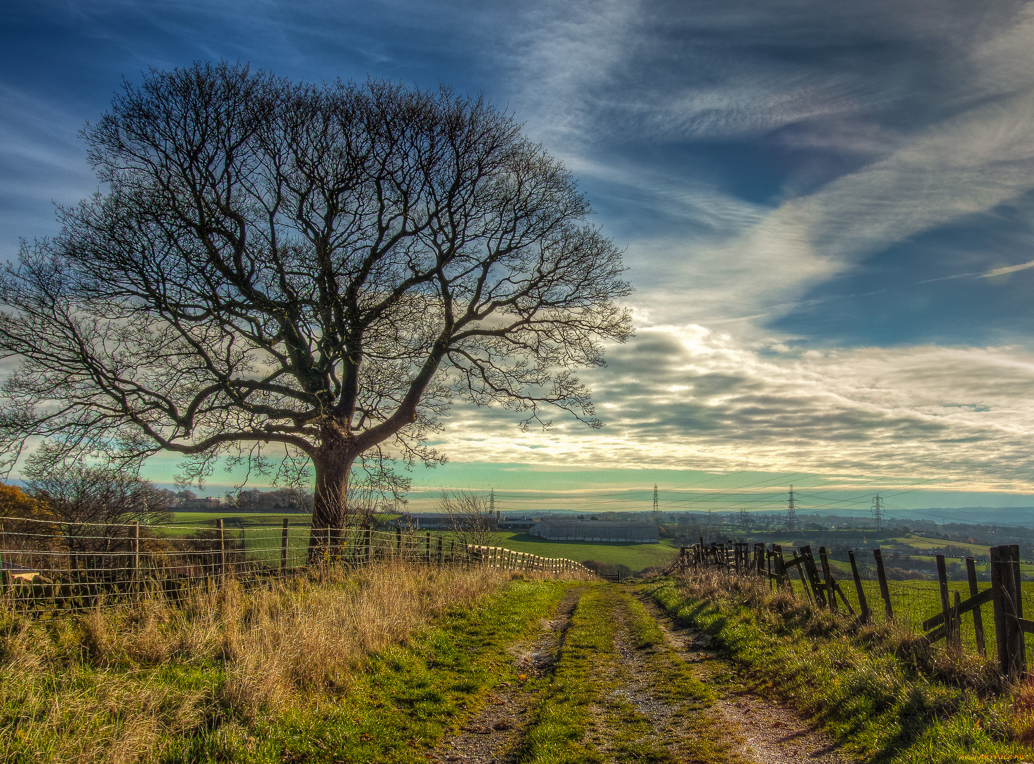 природа, дороги, облака, дорога, забор, поле, горизонт, деревья
