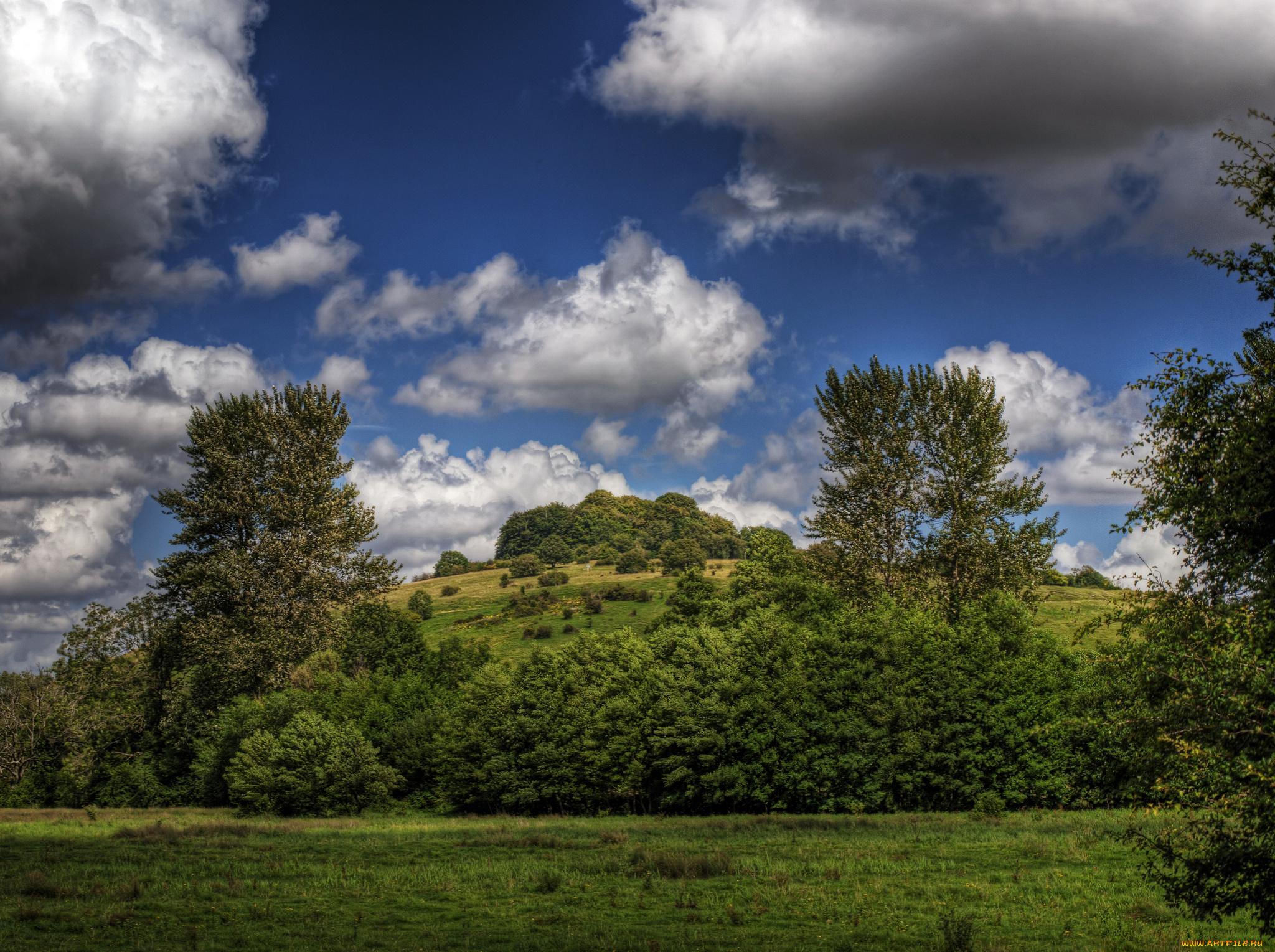 природа, пейзажи, холм, лето, растительность