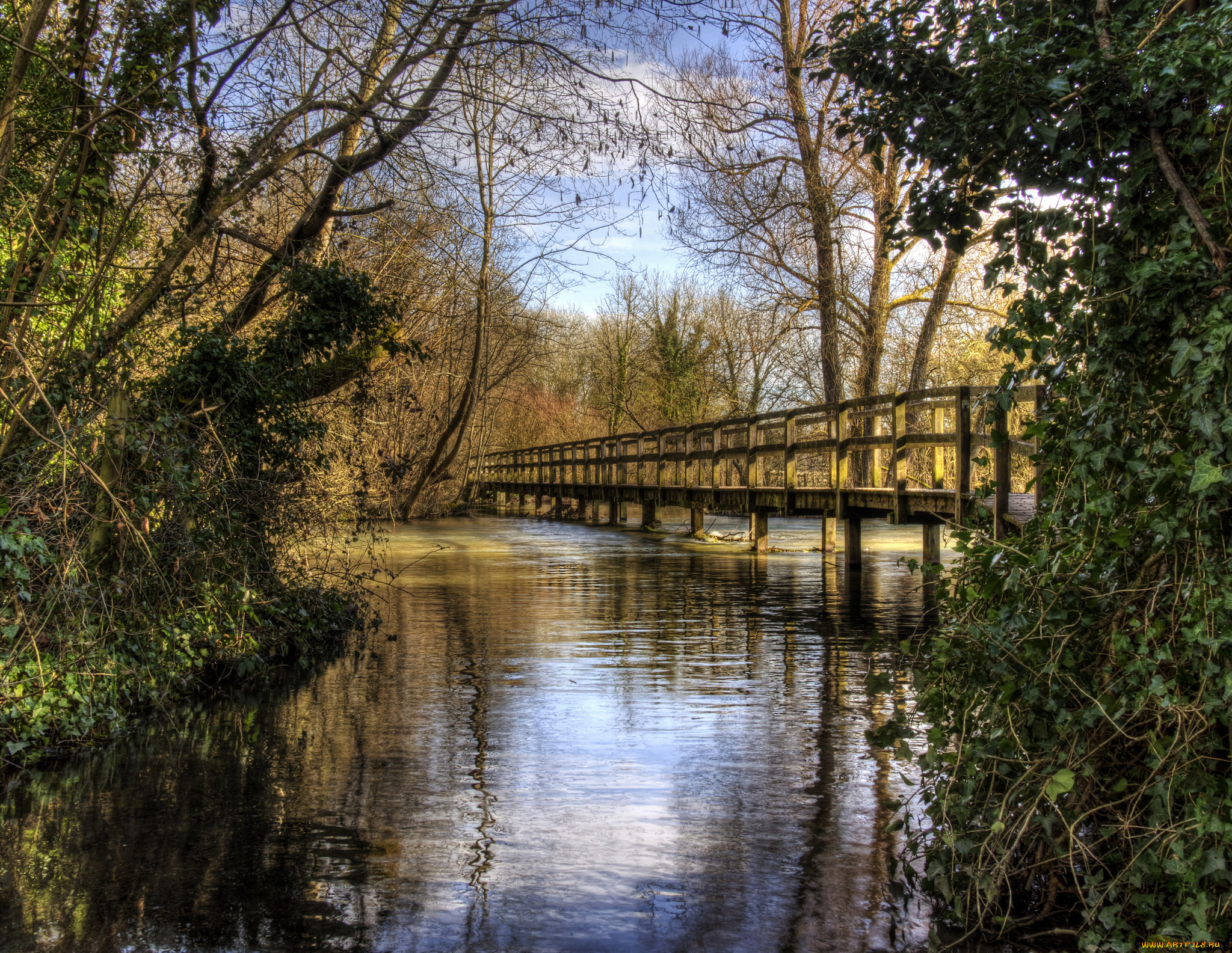 природа, реки, озера, мост, река, лес