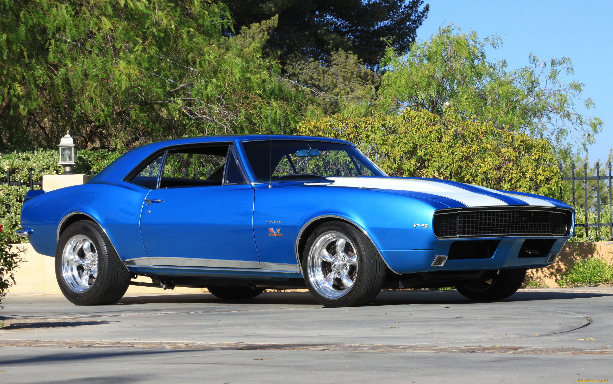 автомобили, camaro