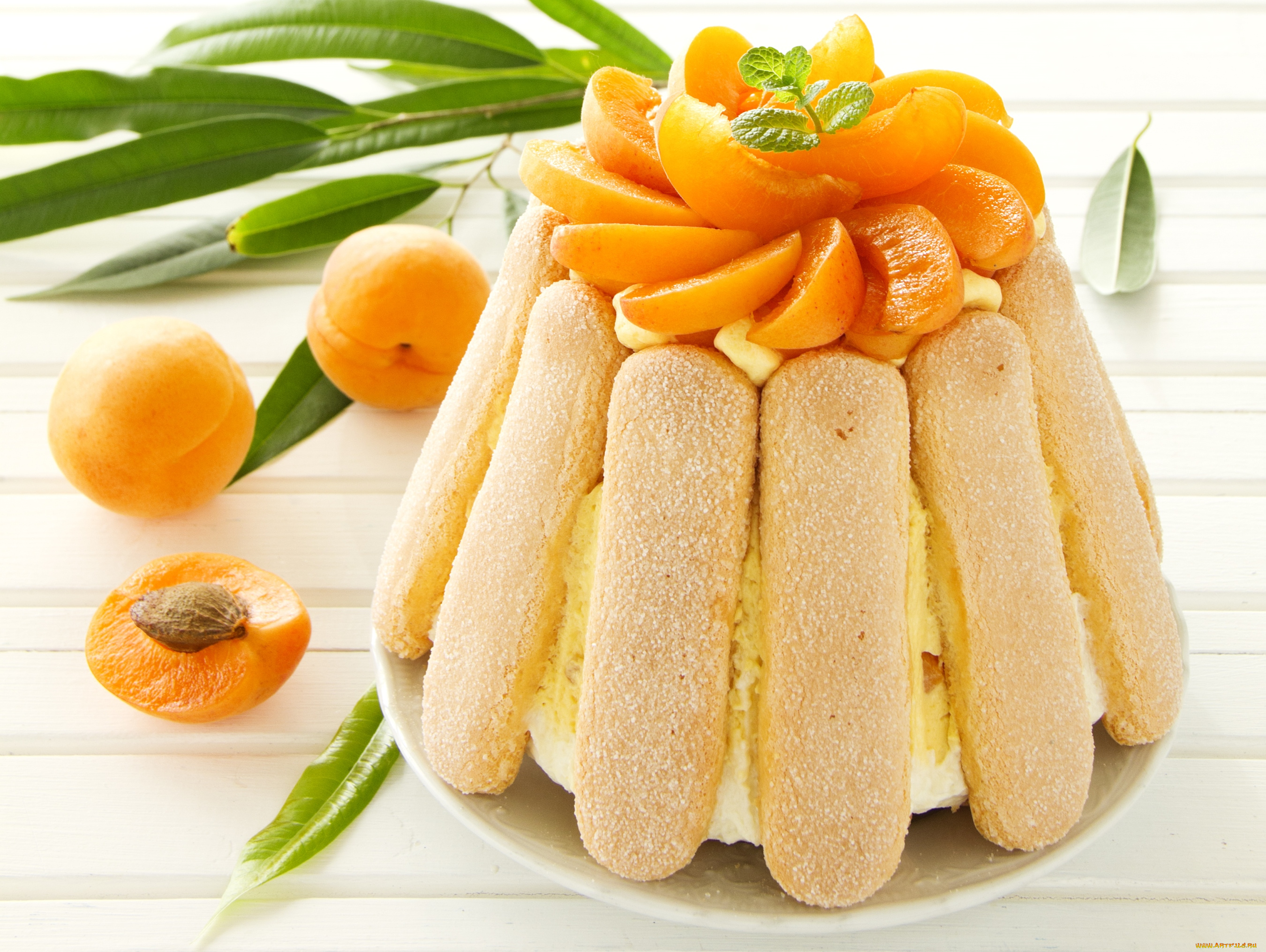 еда, торты, савоярди, абрикос