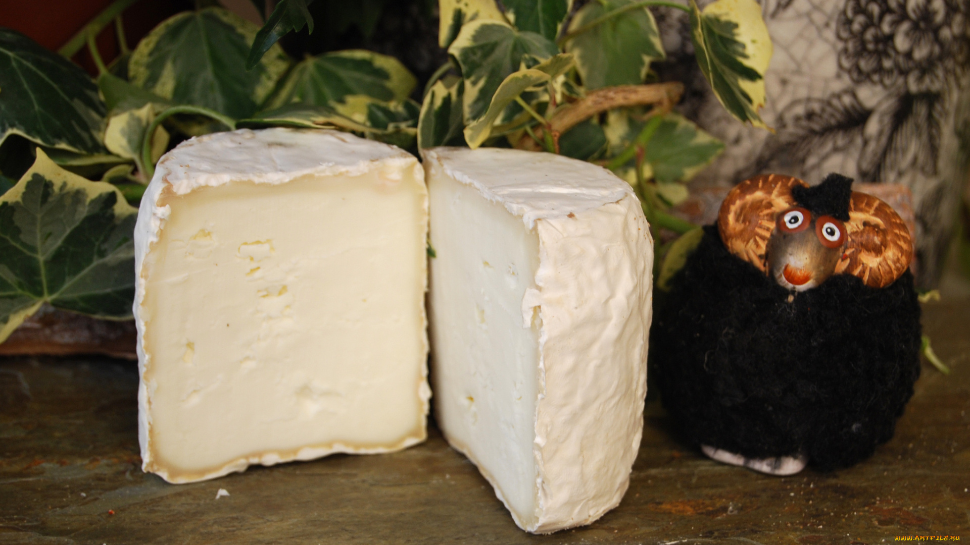 blando, marvall, еда, сырные, изделия, сыр