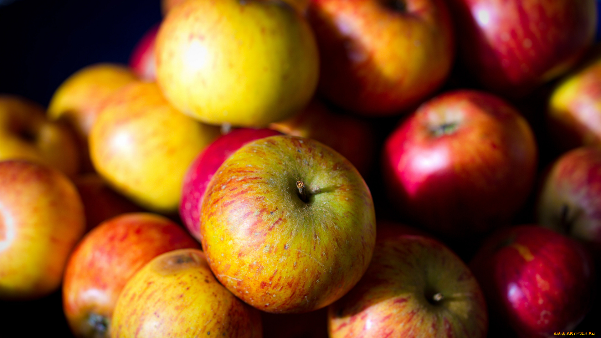 еда, Яблоки, много, макро, плоды