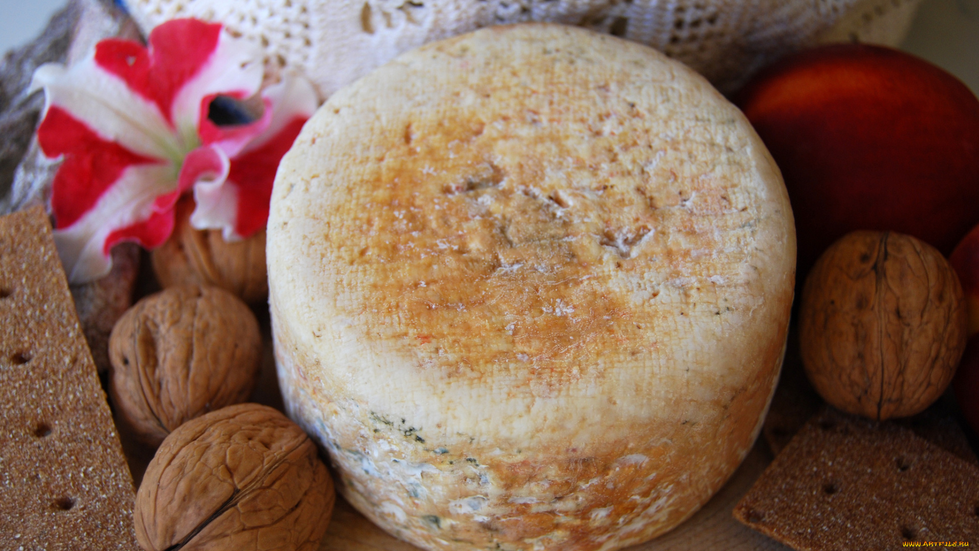 el, bufalet, blau, еда, сырные, изделия, сыр