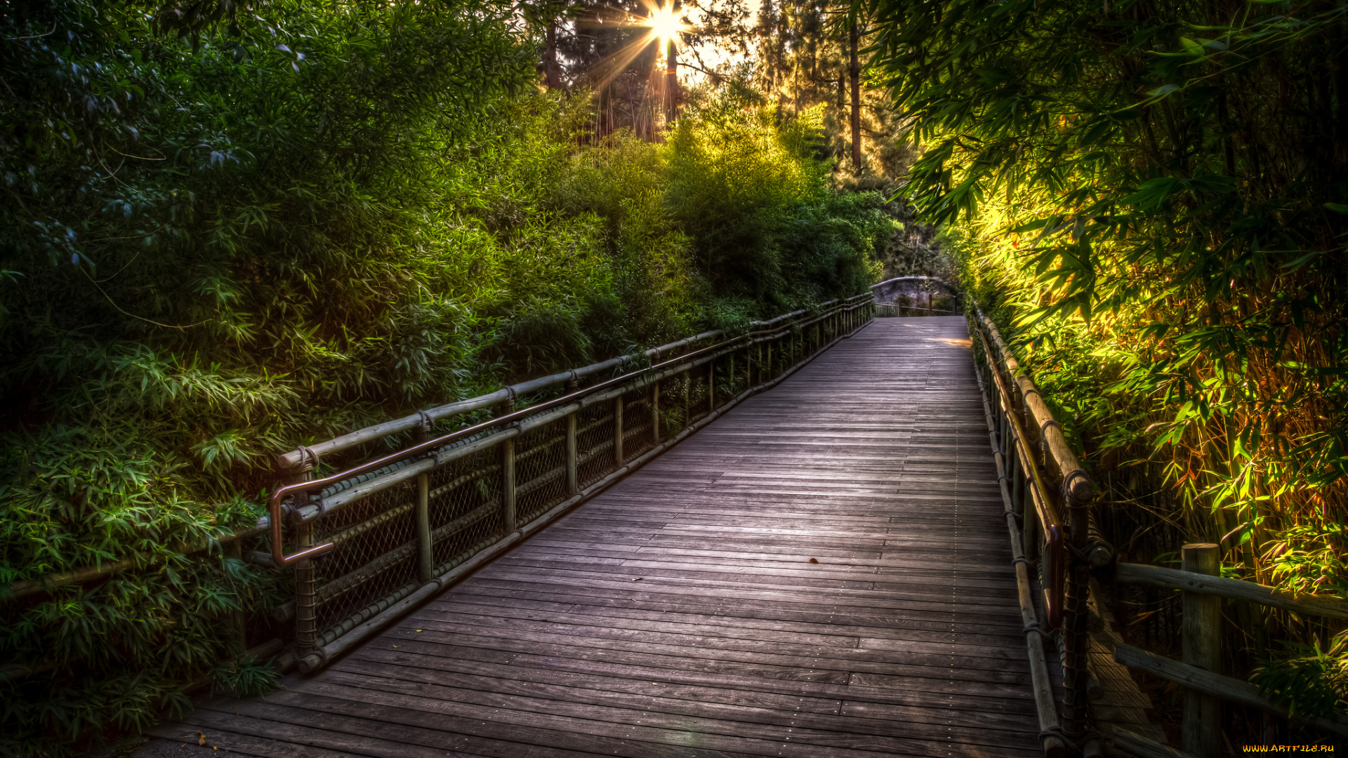 природа, дороги, мост, лес