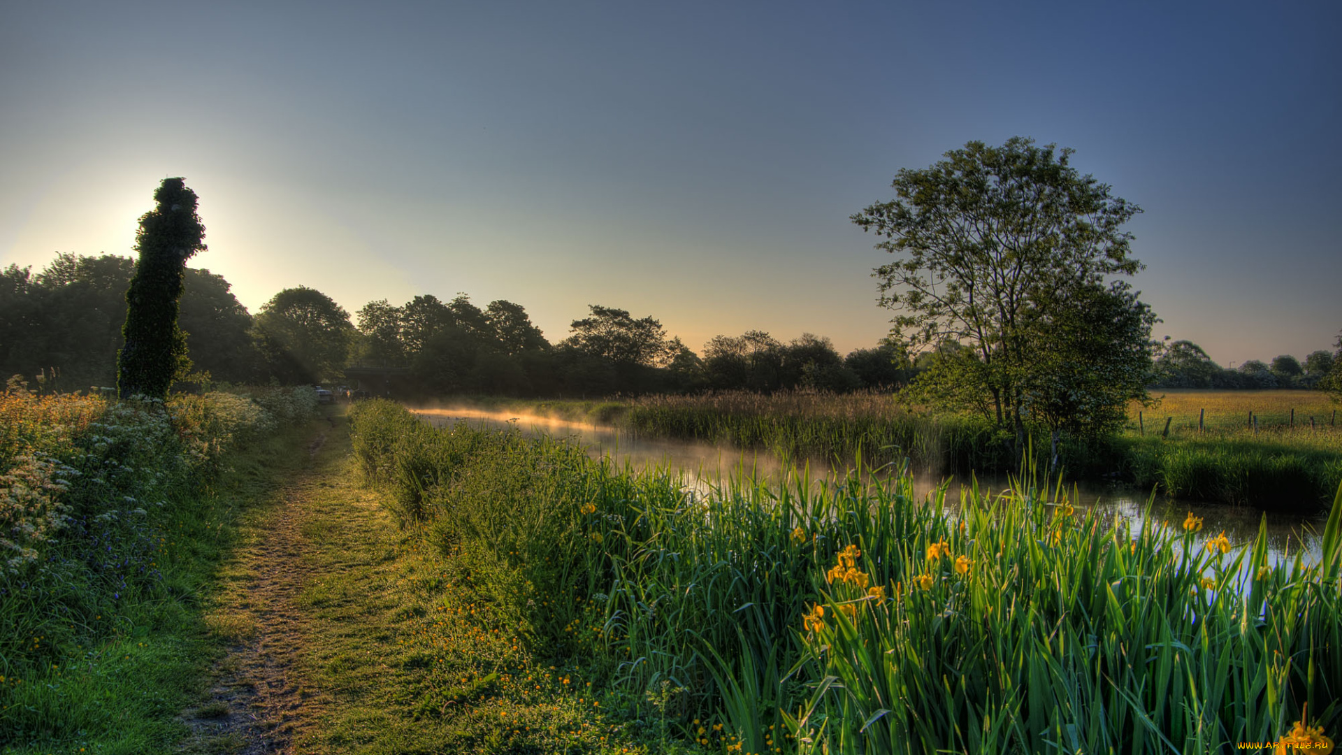 природа, дороги, река, лес, тропинка