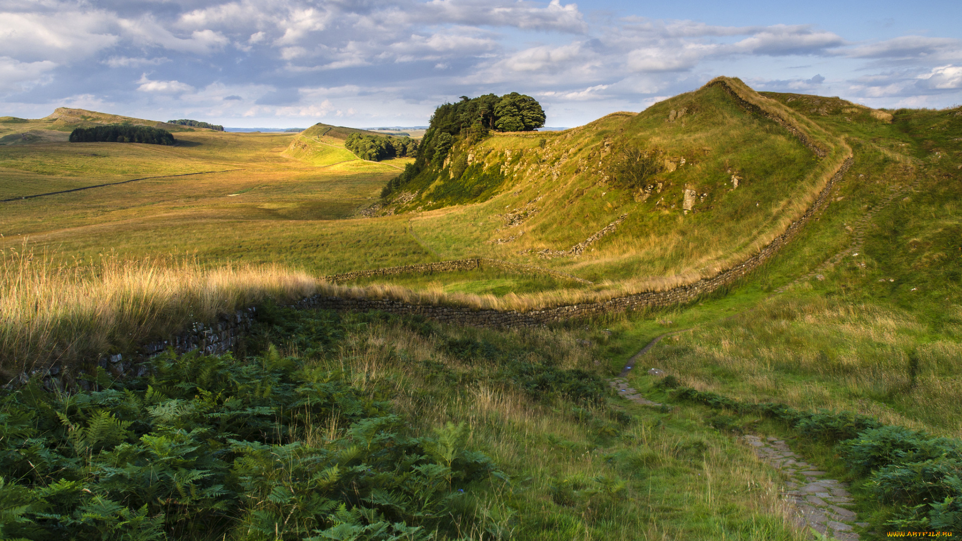 природа, дороги, тропа, холмы