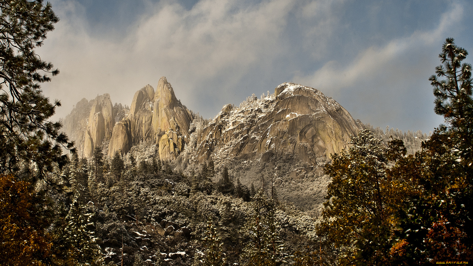 природа, горы, вершины, лес