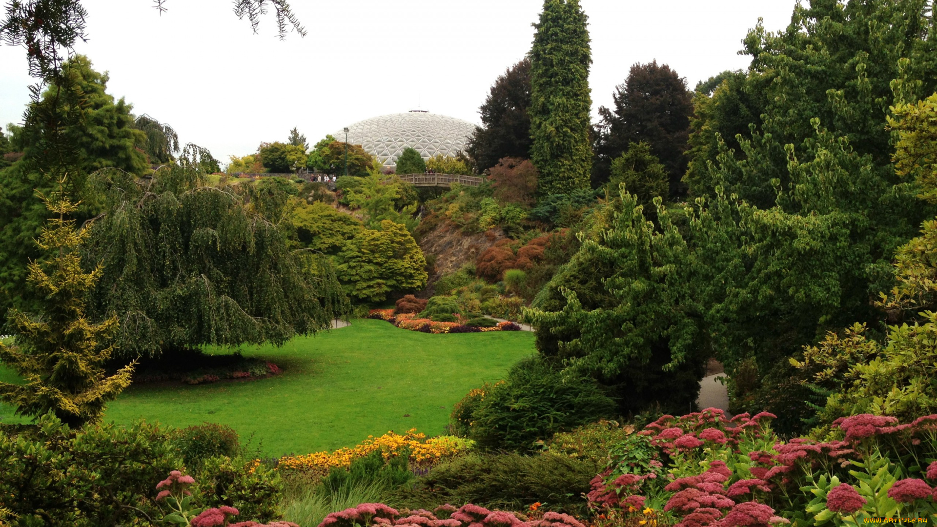 природа, парк, поляна, трава, зелень, цветы, канада, сад, van, dusen, gardens, vancouver, кусты, деревья